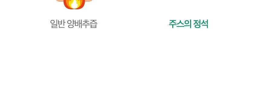 [NEW]주스의정석 ABC/CCA/양배추사과즙 100ml 3종 택1 상세페이지 74